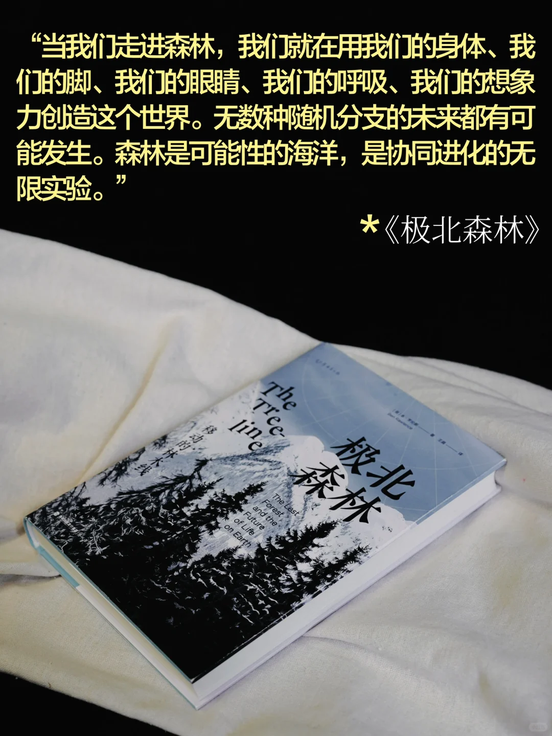 也是吃上细糠了！零帧起手的超绝文笔俘获我