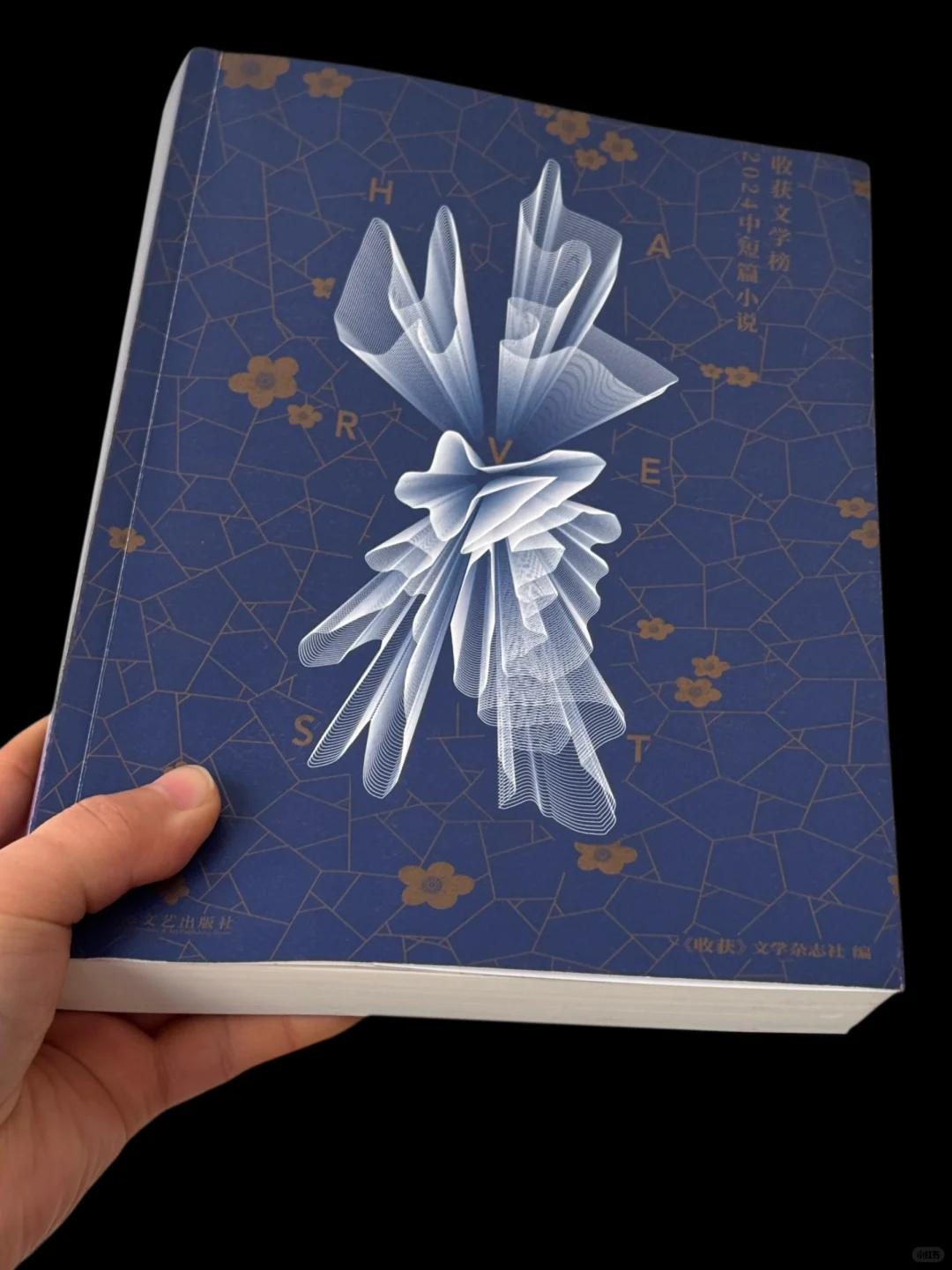 文学盛宴❗️一本收齐2024年最值得读的中短篇
