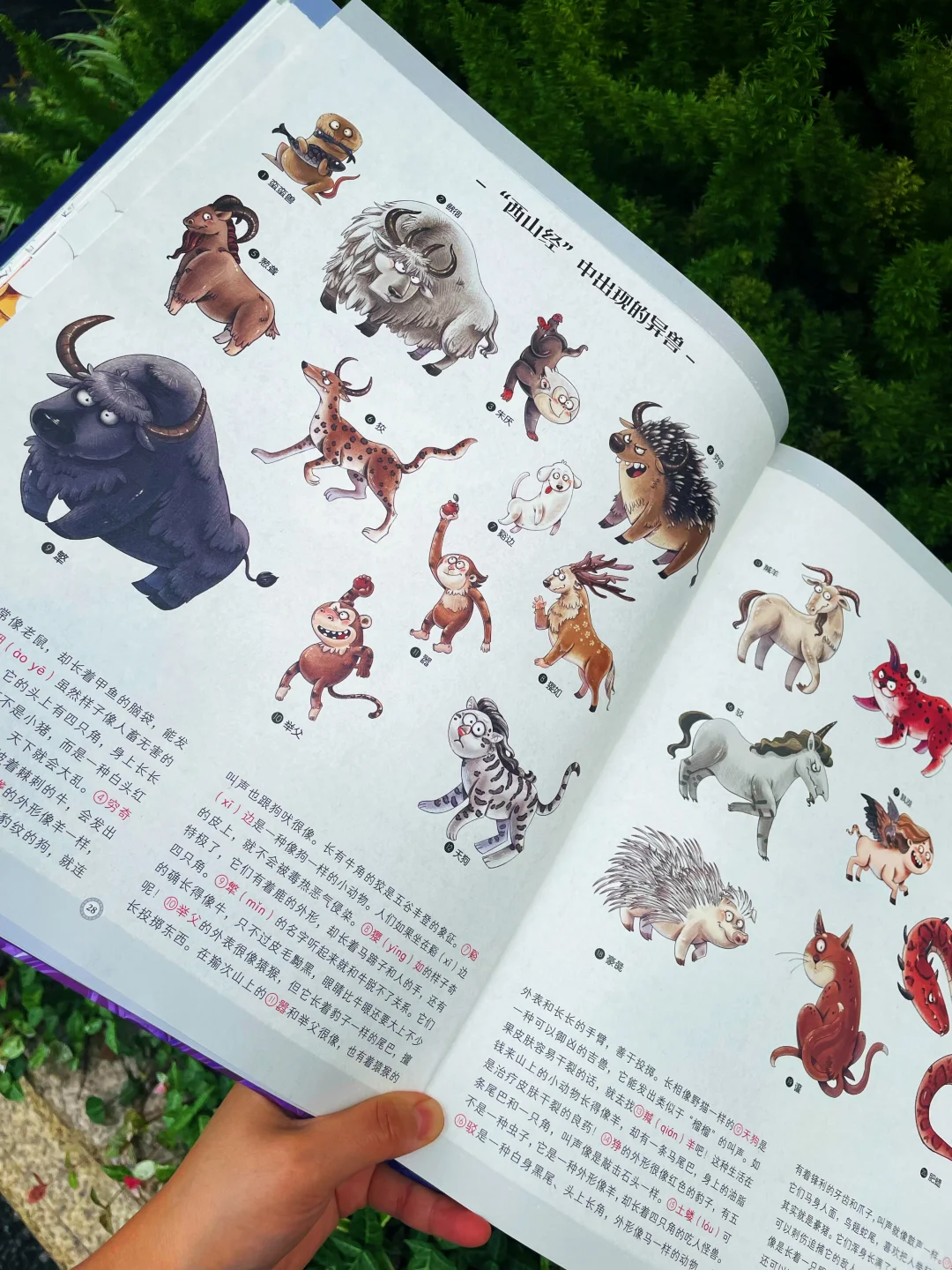 我不懂的！山海经竟然这么好看……