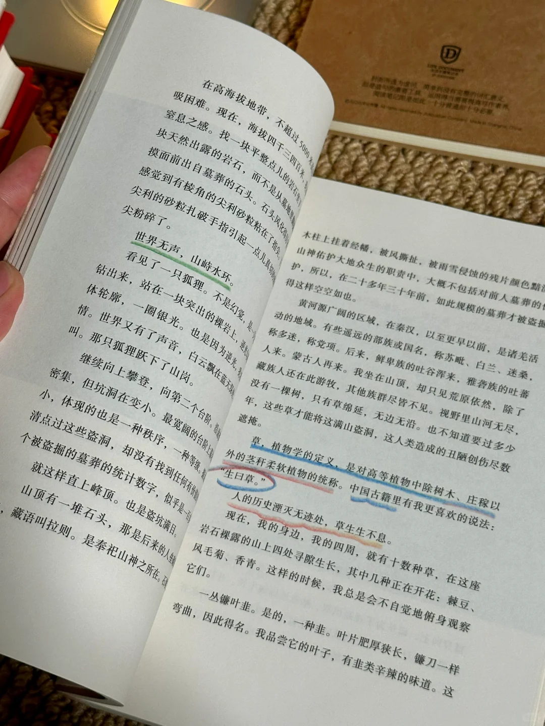 挖到宝📚他的文笔潇洒冷冽，恨不得全文背诵