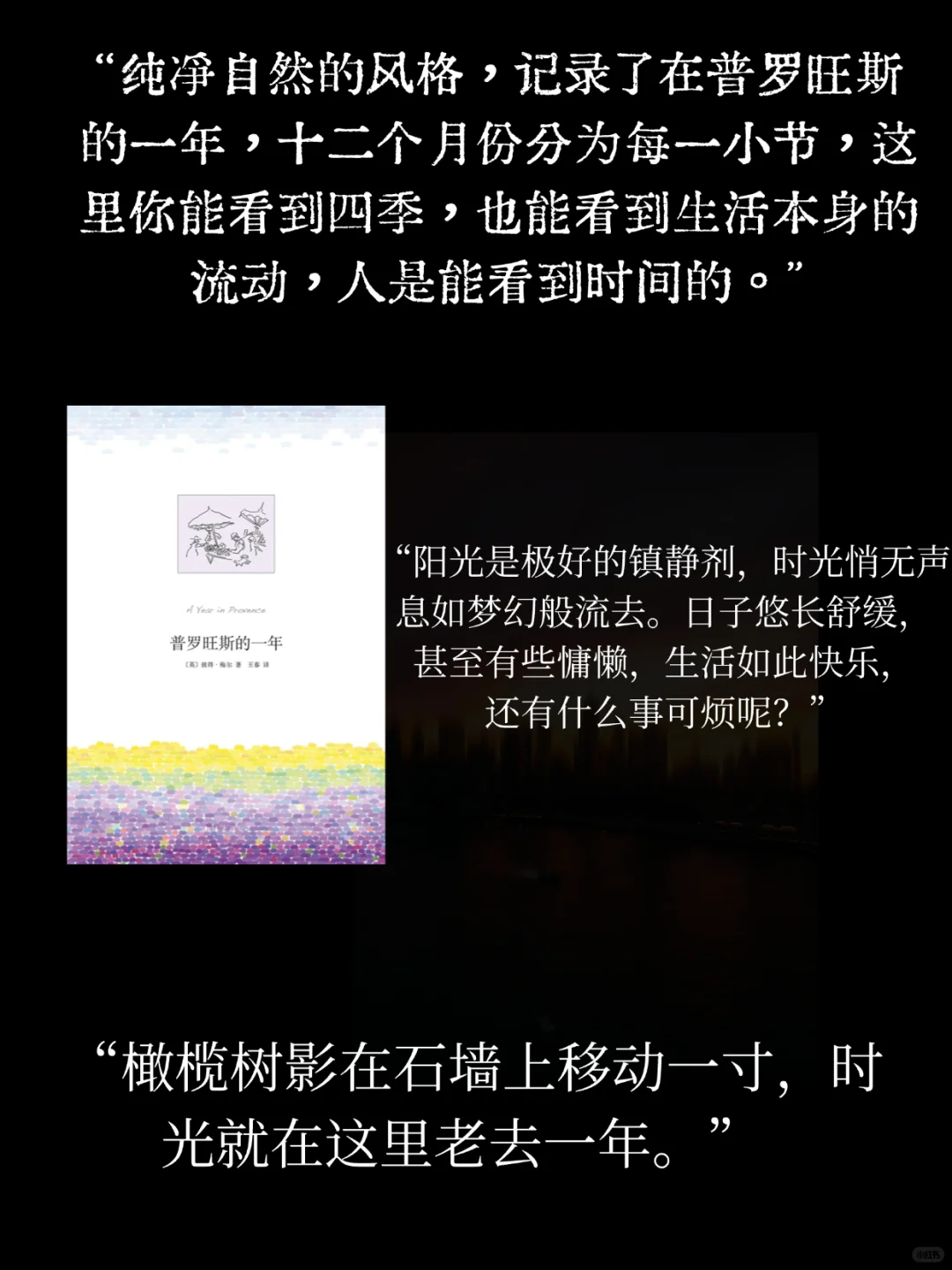 25度书单|阳光、幸福，人类应该这样活着