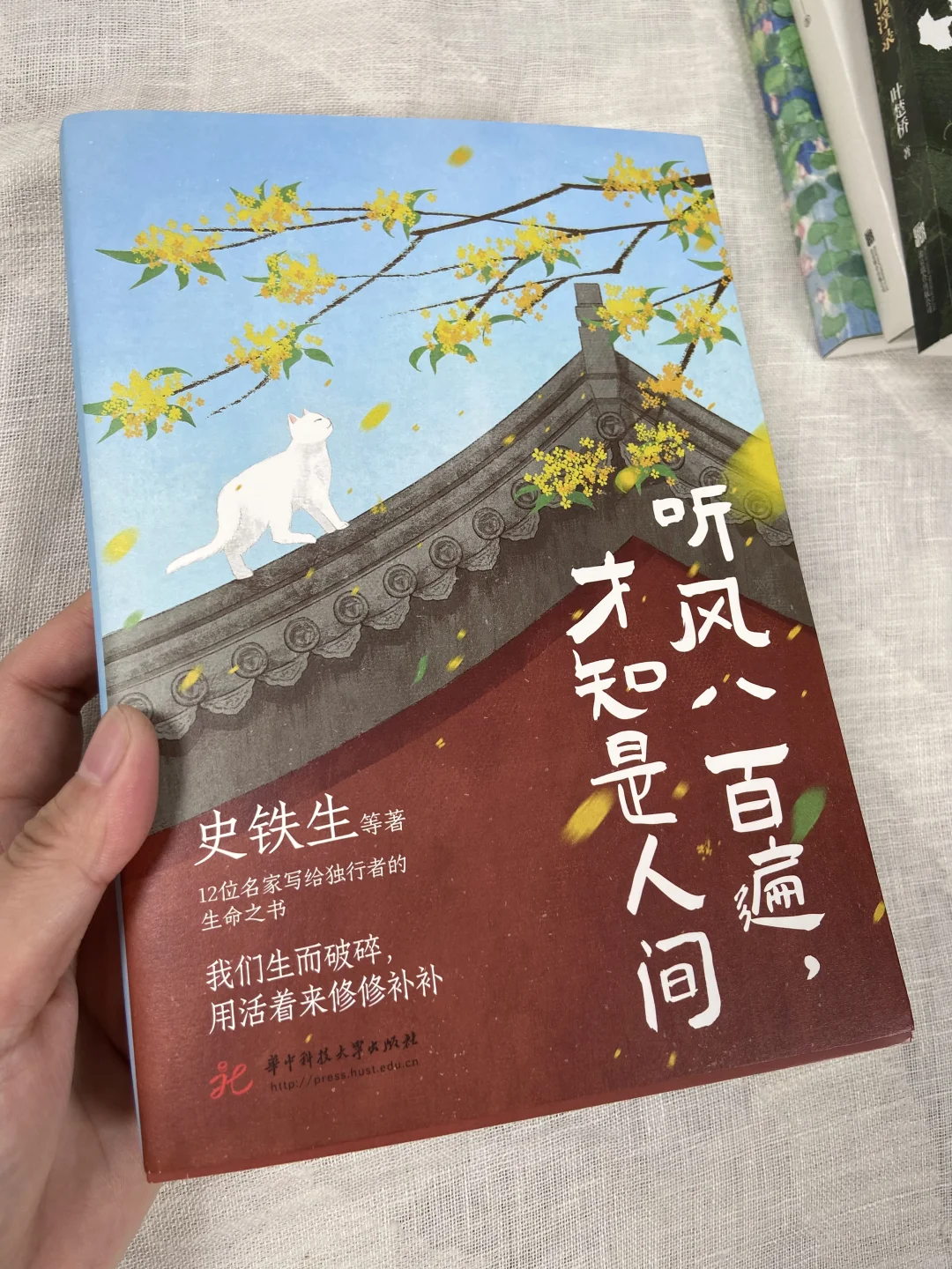 文笔太差？请翻烂这六本书女性成长书单