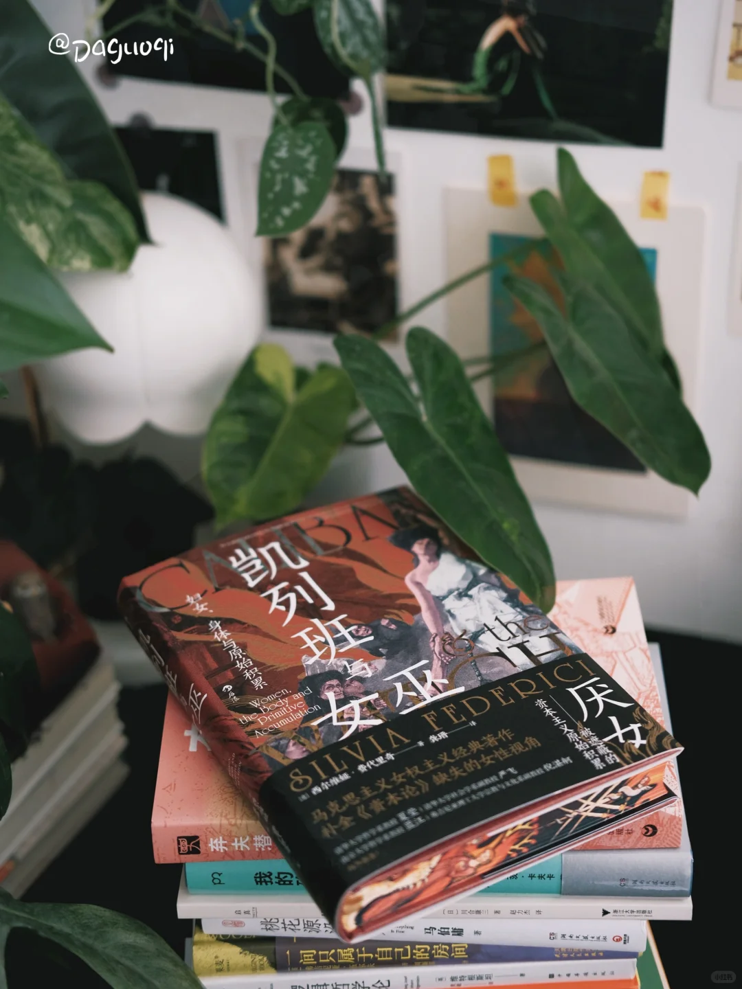 新书留影📖