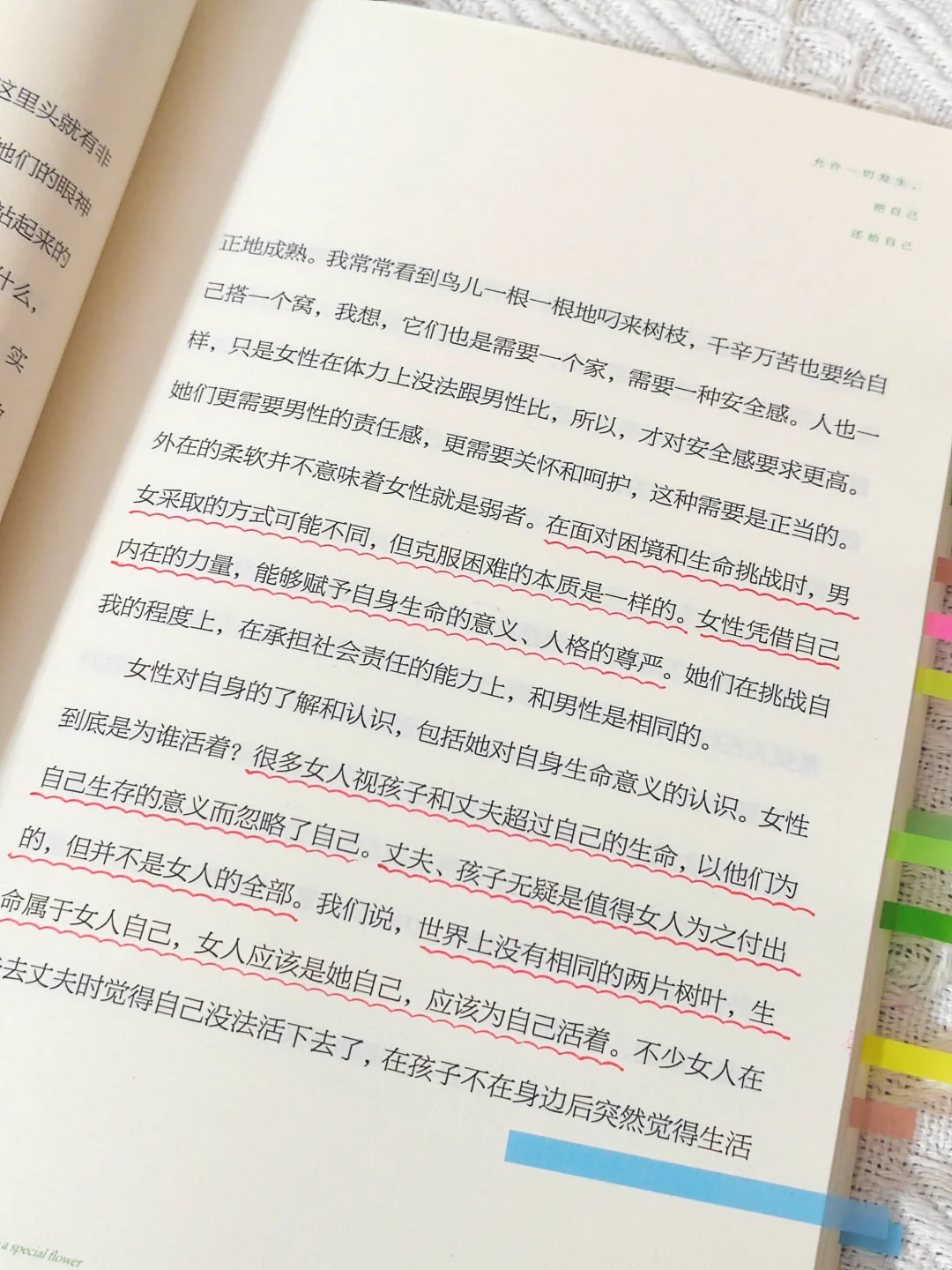 我宣布：这是我2025看过蕞蕞蕞治愈的一本书