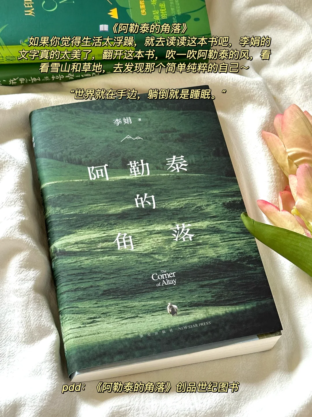 夏日清凉治愈书单🌿每一本我都好爱啊！！