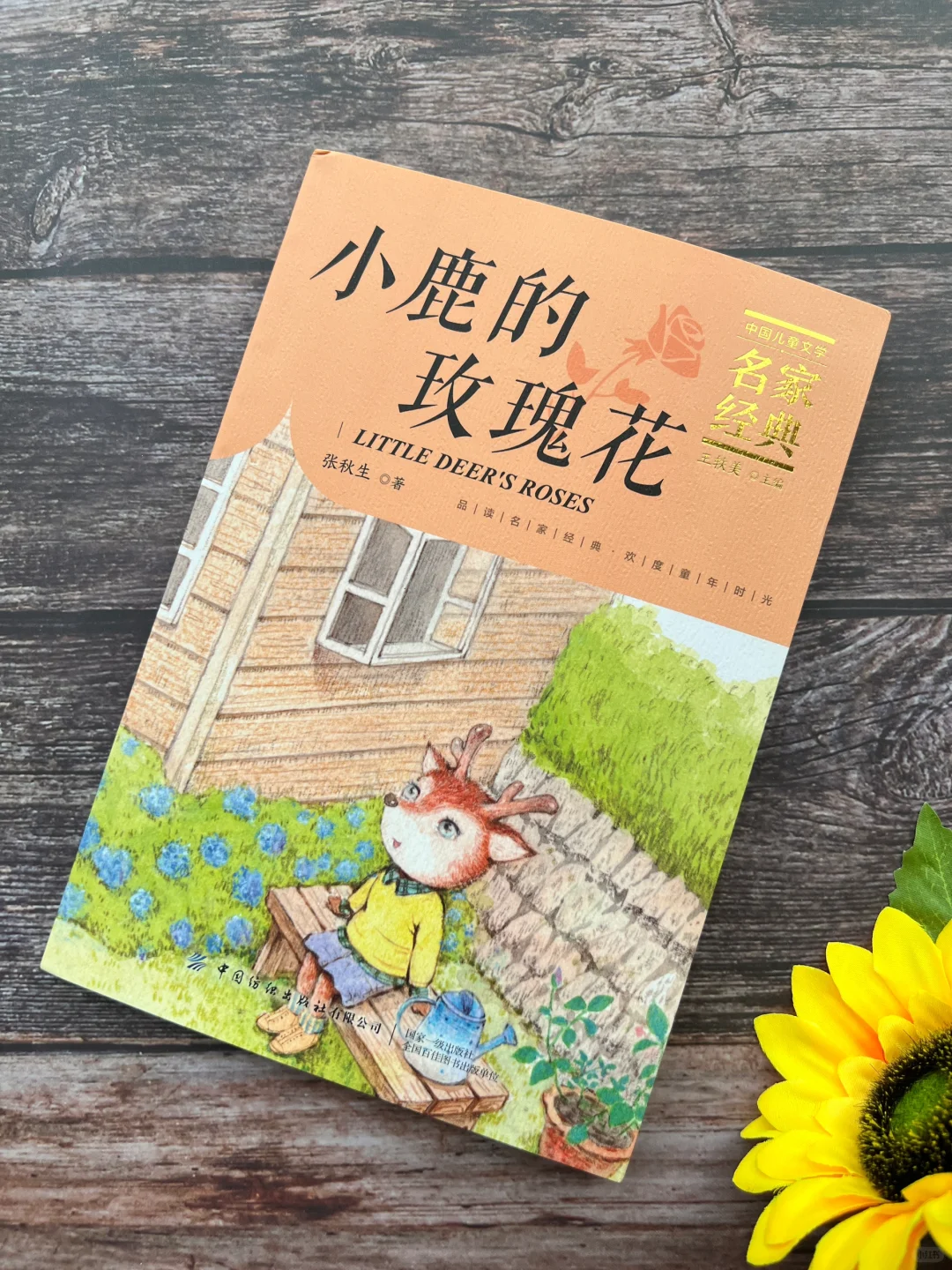 就是这套书，让我孩子作文突飞猛进❗️