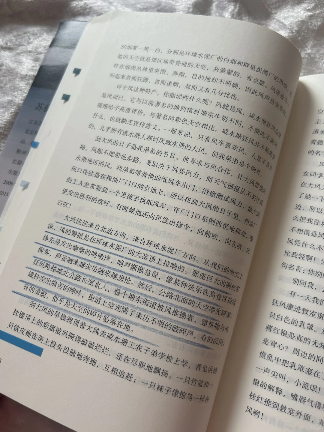 ◻️好天气：这是温情，也是敬意
