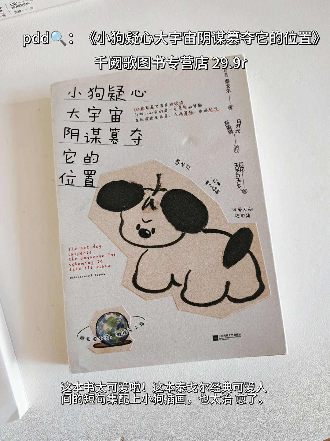 超治愈的夏日书单🌿每一本我都好爱