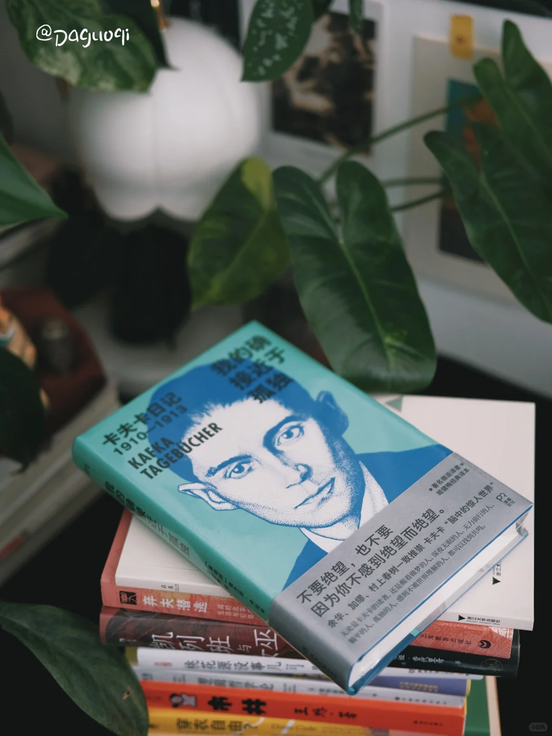 新书留影📖