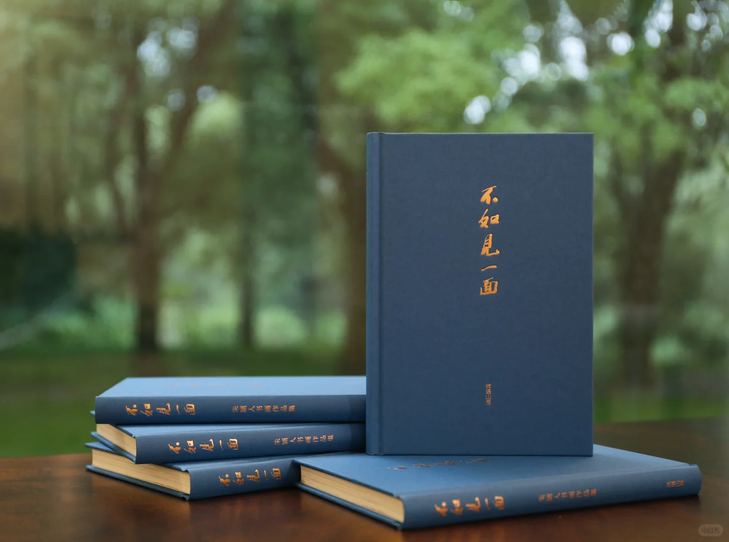 新书 | 《不如见一面》终于见面了！