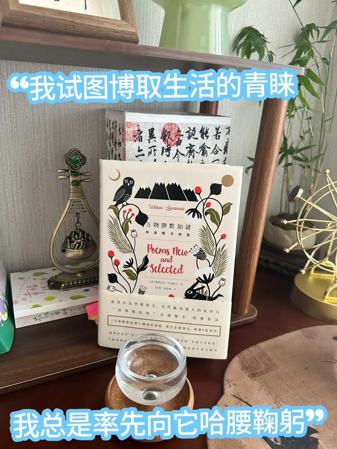 我试图让生活青睐于我，却总先向它点头哈腰