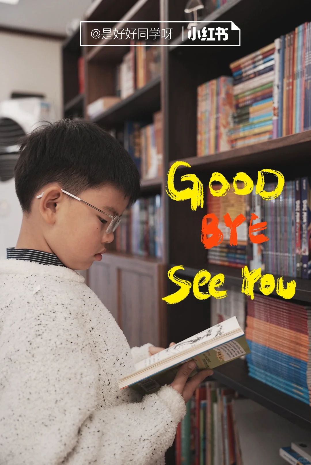 总结一年级小学生最爱看的书 | 合集