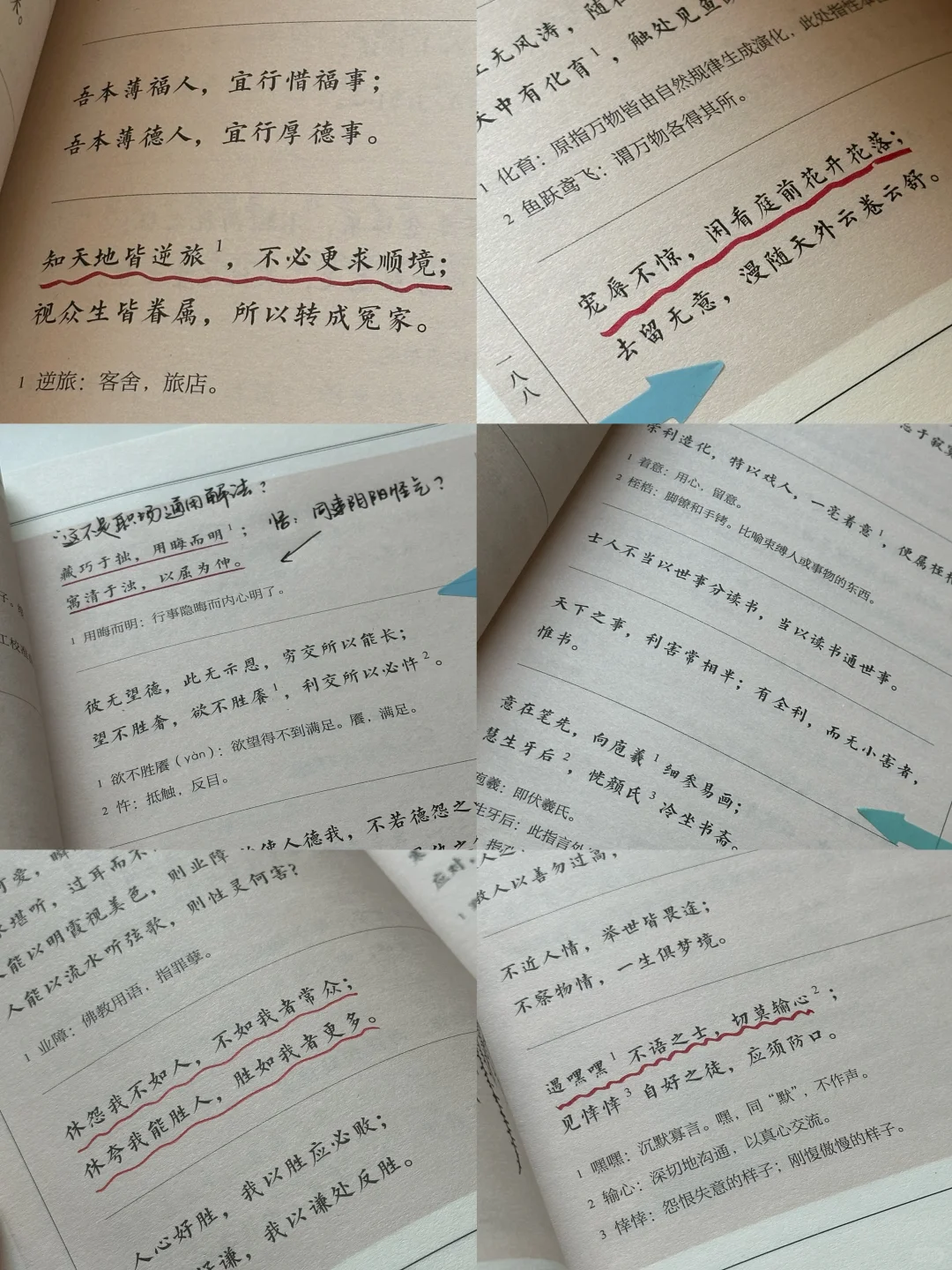 强推🫡我要把这套书奉为我2025的枕边书！！！