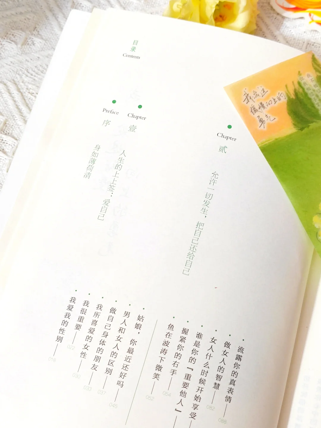 我宣布：这是我2025看过蕞蕞蕞治愈的一本书