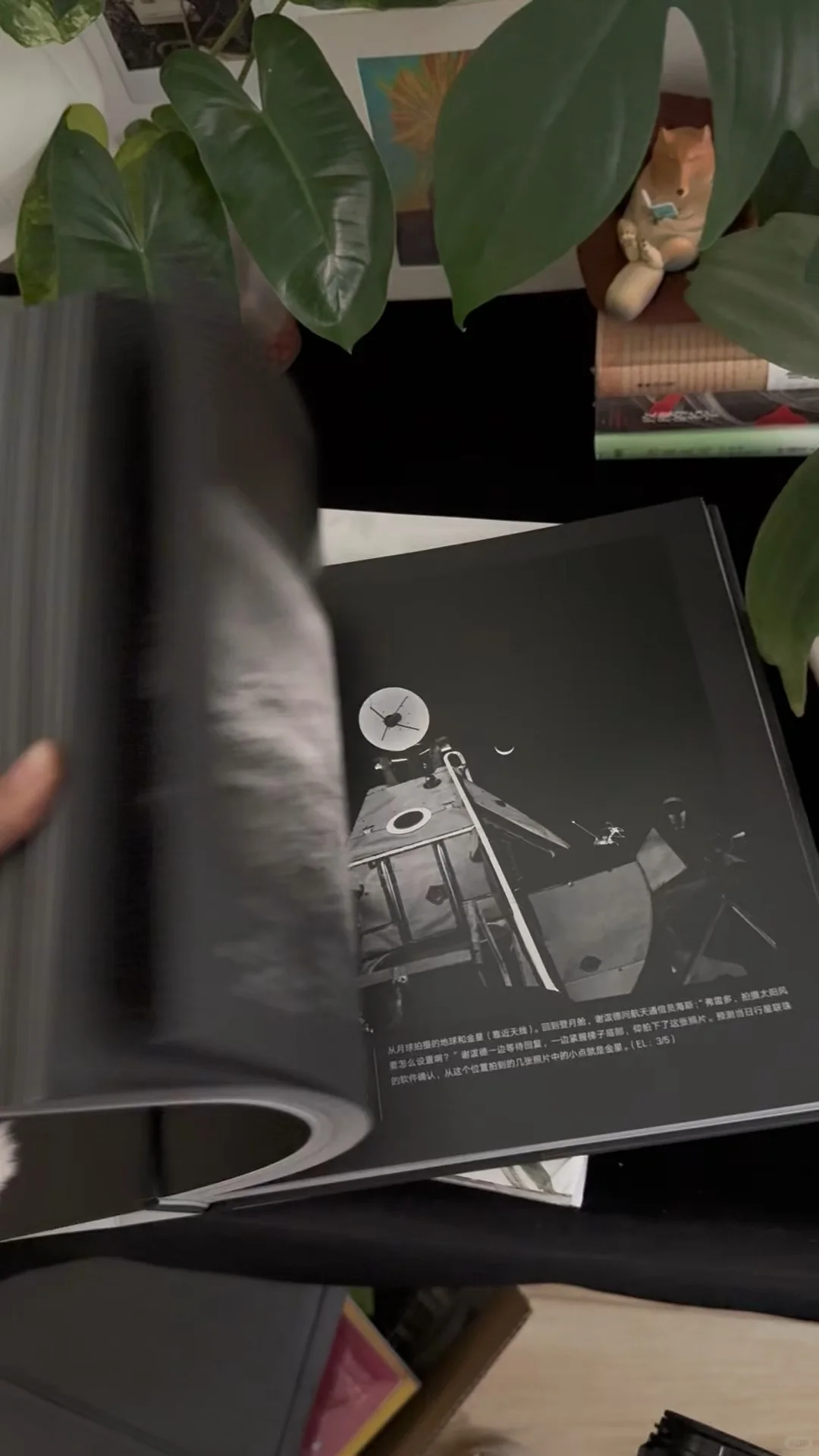 读的不止是书，更是美的形状｜新书书单