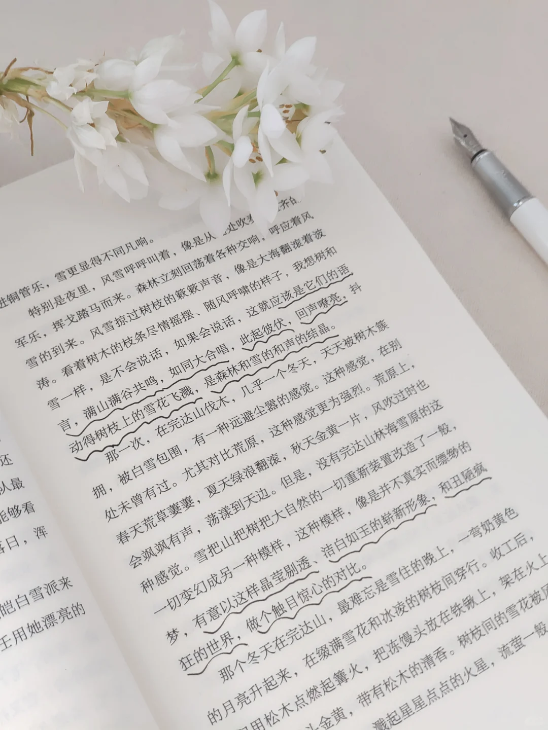 救命！！2025年度挖到的宝藏书单TOP1！！