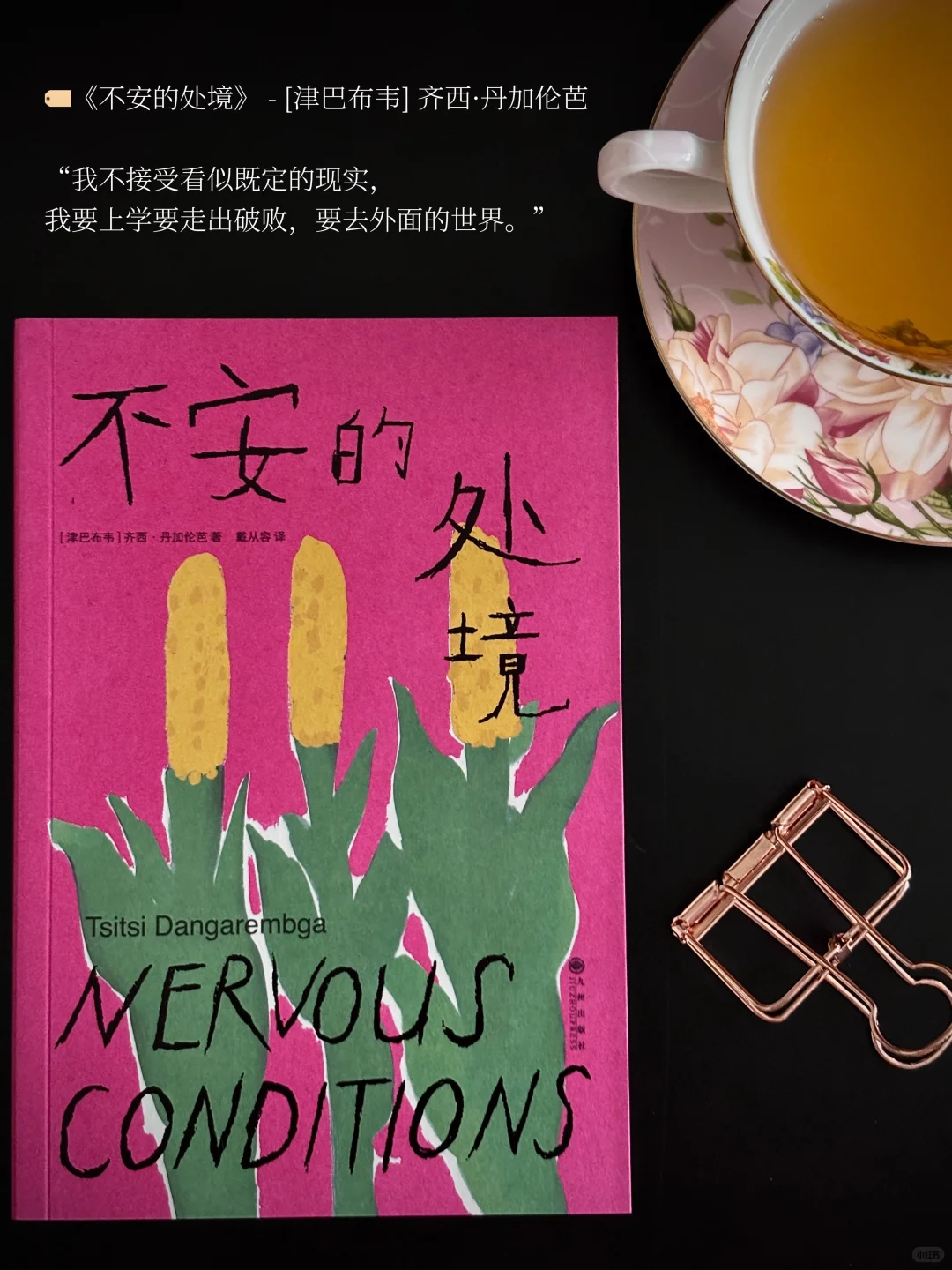 女性作家新书拆箱 | “经由我们，看见世界”