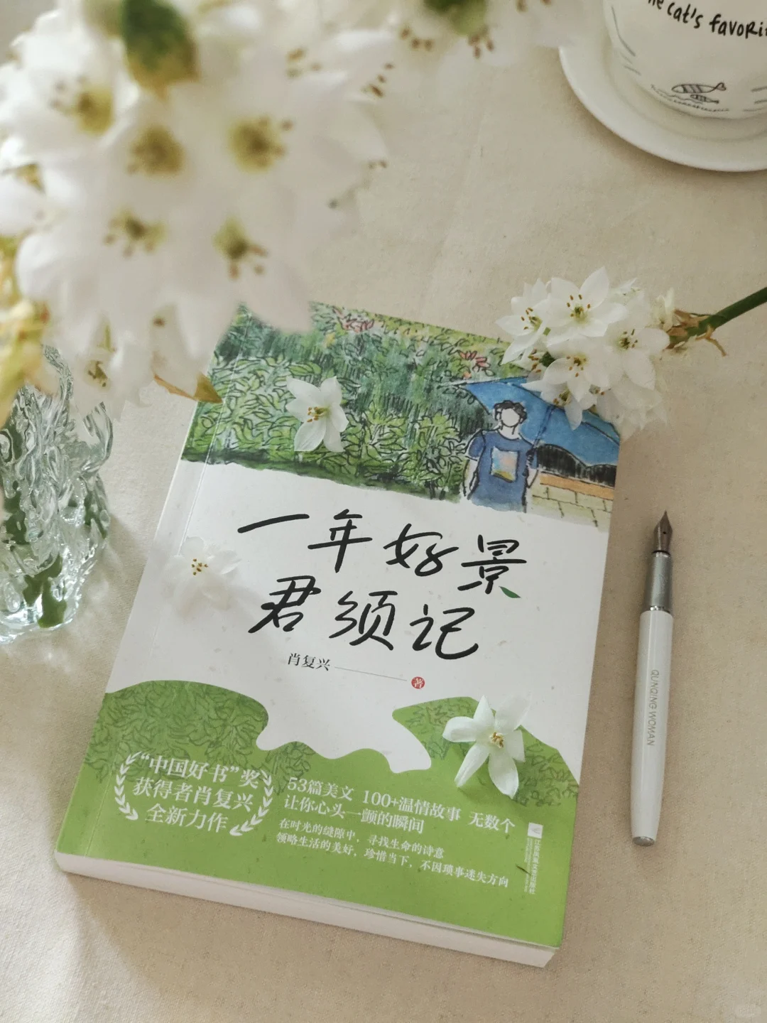 救命！！2025年度挖到的宝藏书单TOP1！！