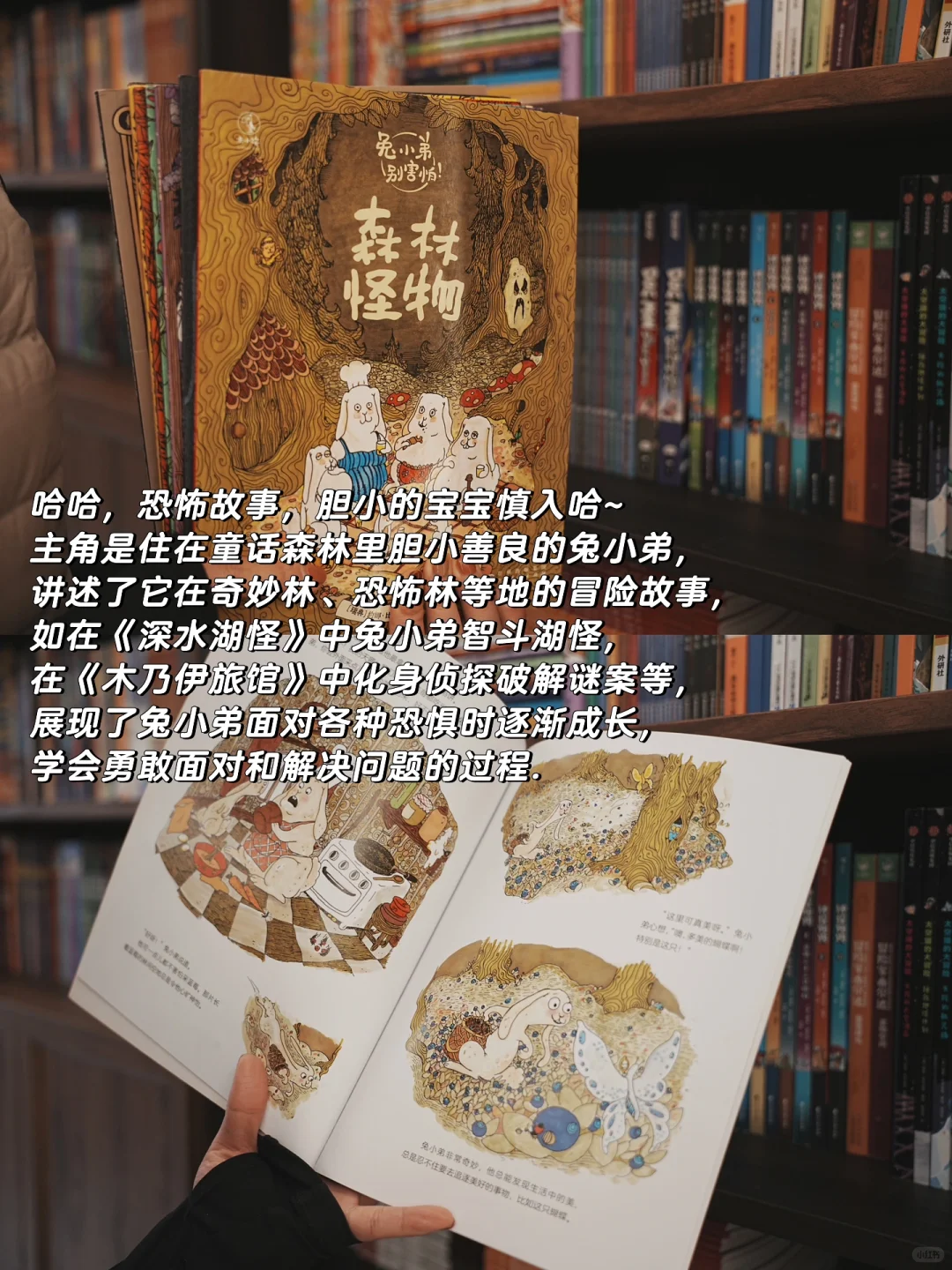 总结一年级小学生最爱看的书 | 合集