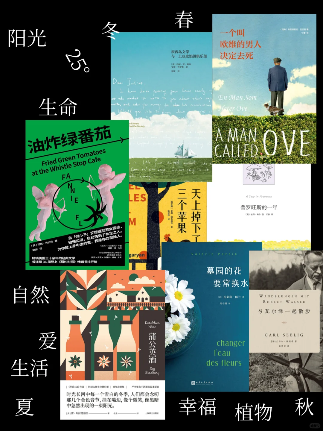 25度书单|阳光、幸福，人类应该这样活着