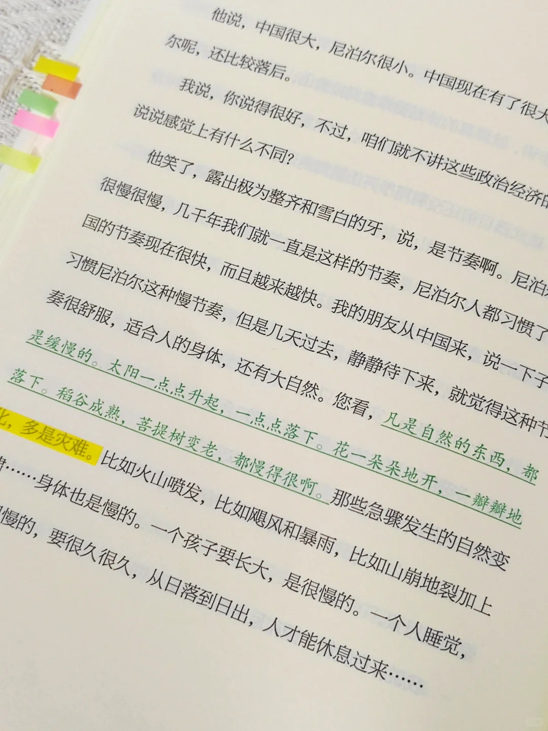 我宣布：这是我2025看过蕞蕞蕞治愈的一本书