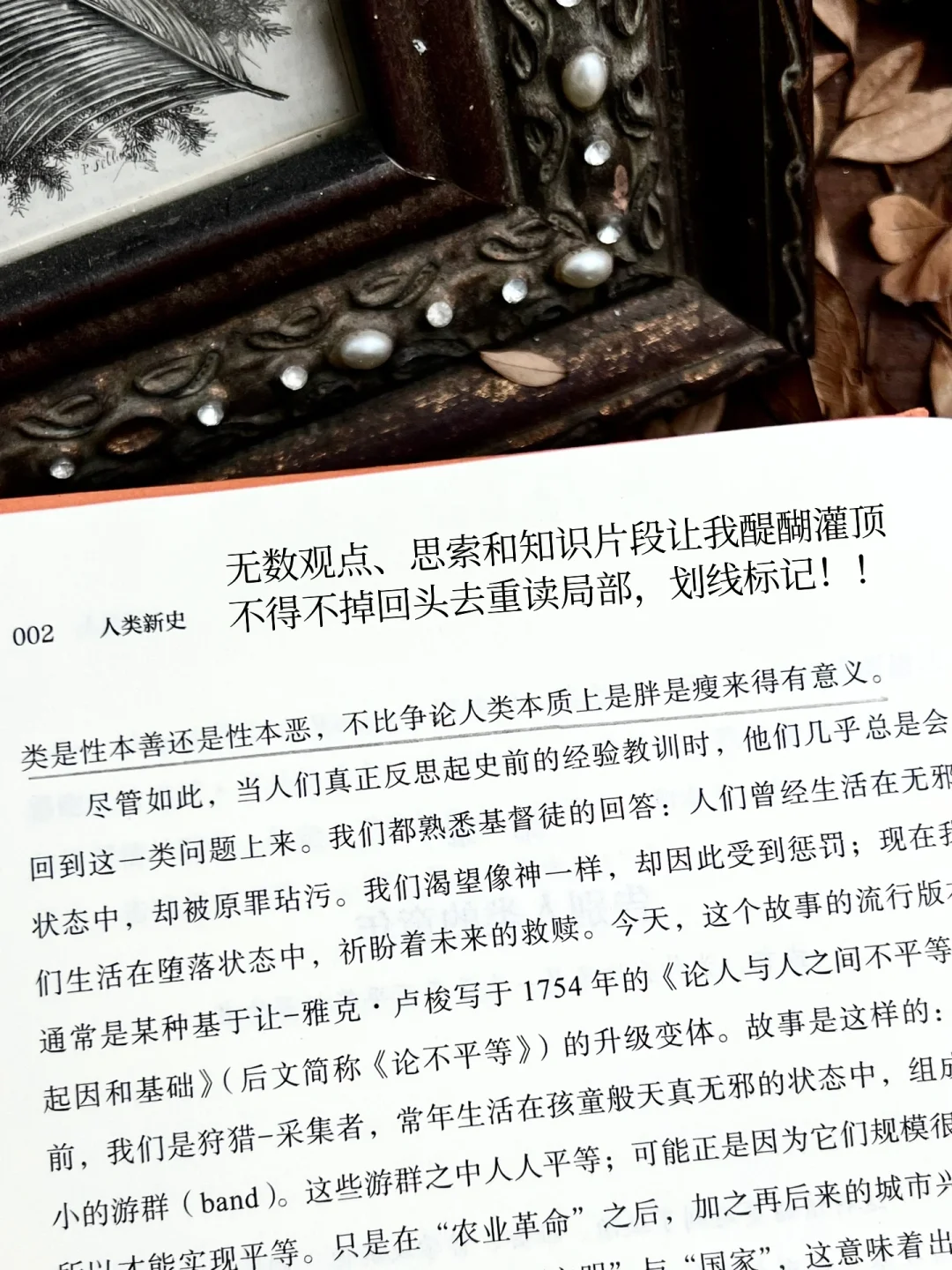 😭我宣布！！我的年度Top1封神之作出现了！！
