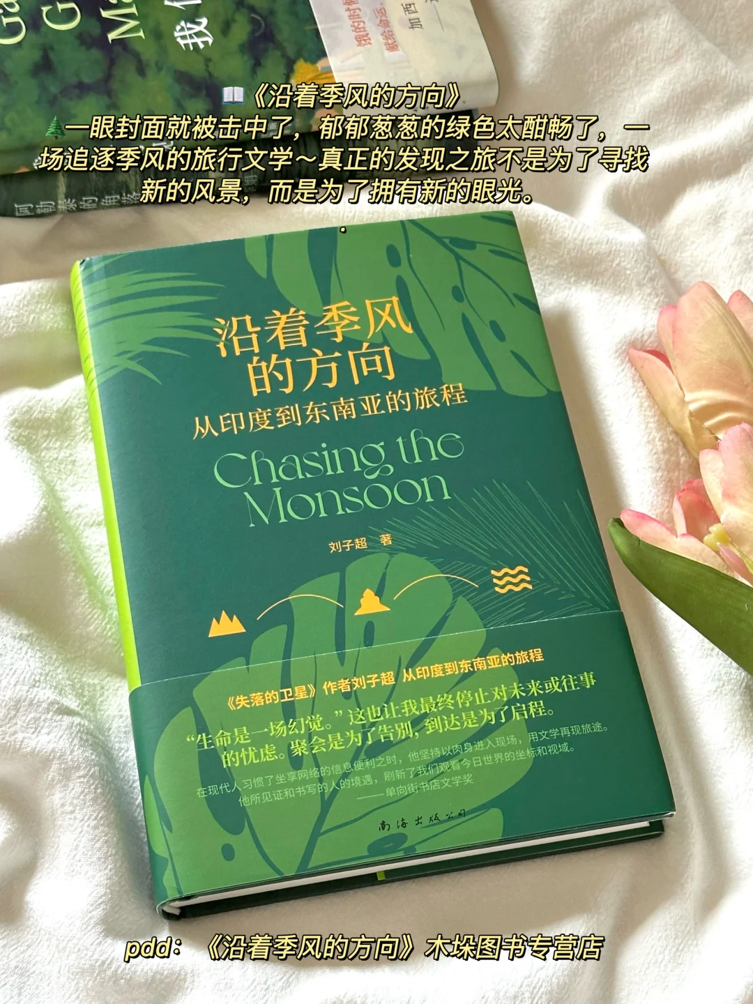 夏日清凉治愈书单🌿每一本我都好爱啊！！