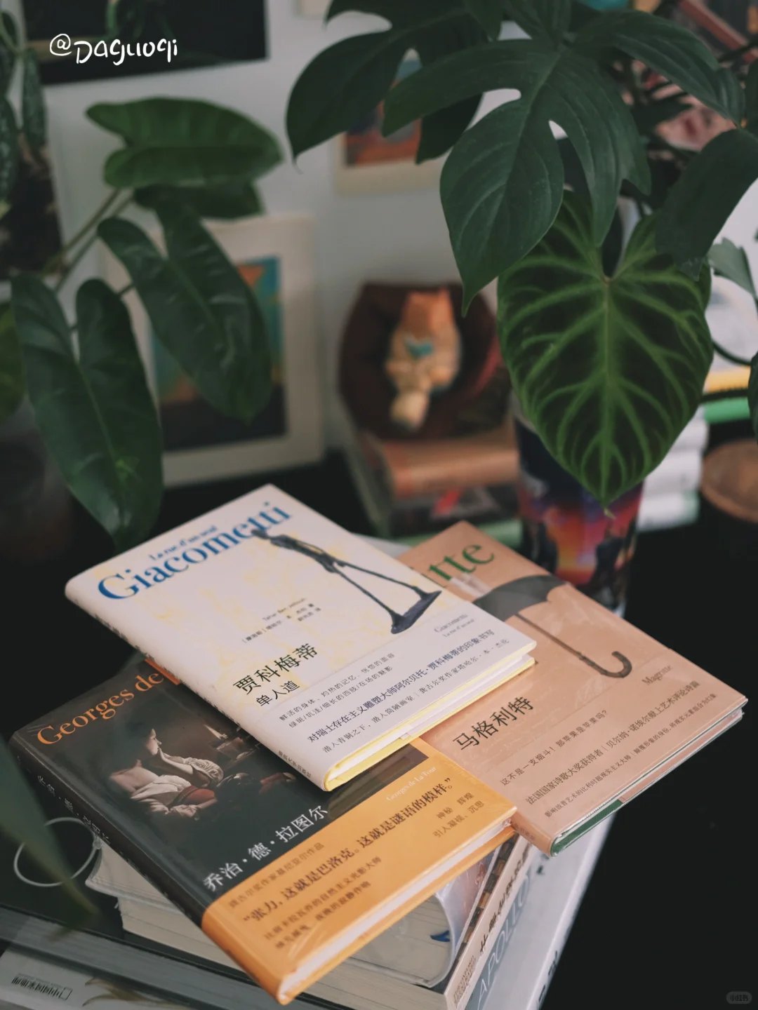 读的不止是书，更是美的形状｜新书书单