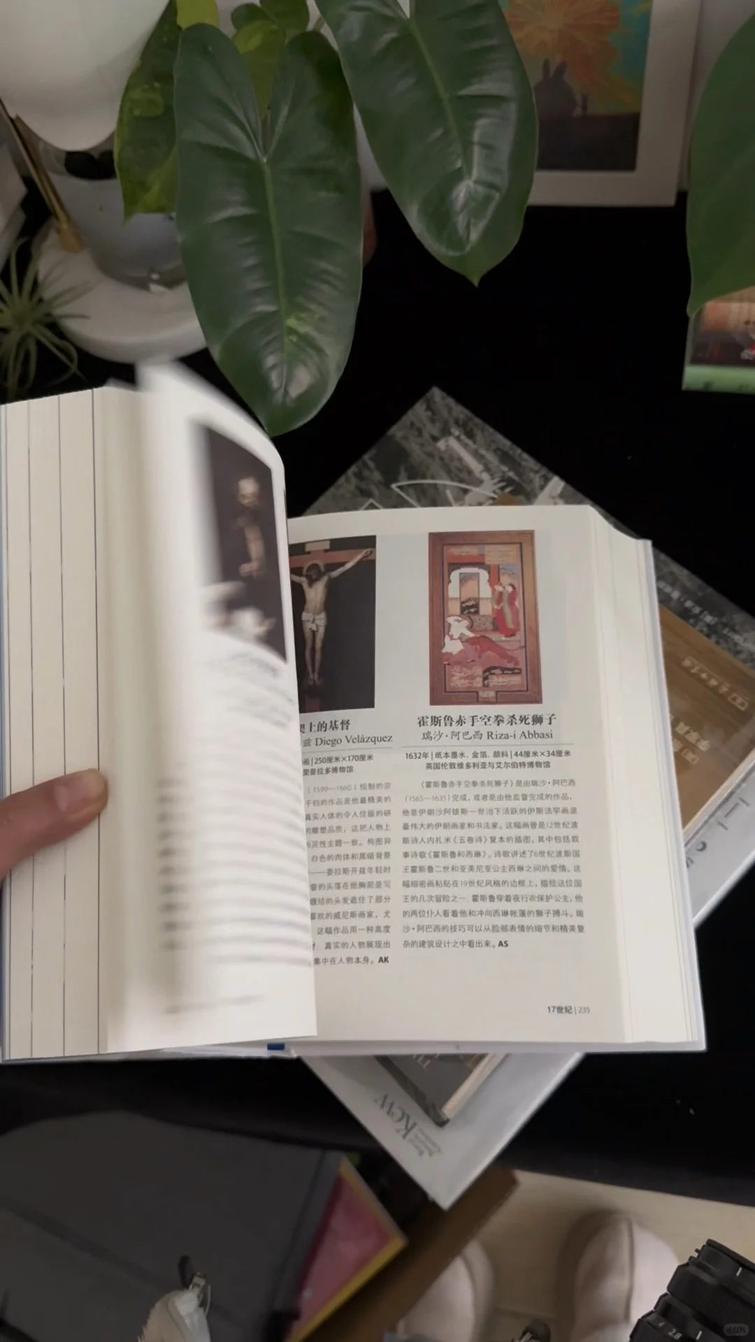 读的不止是书，更是美的形状｜新书书单