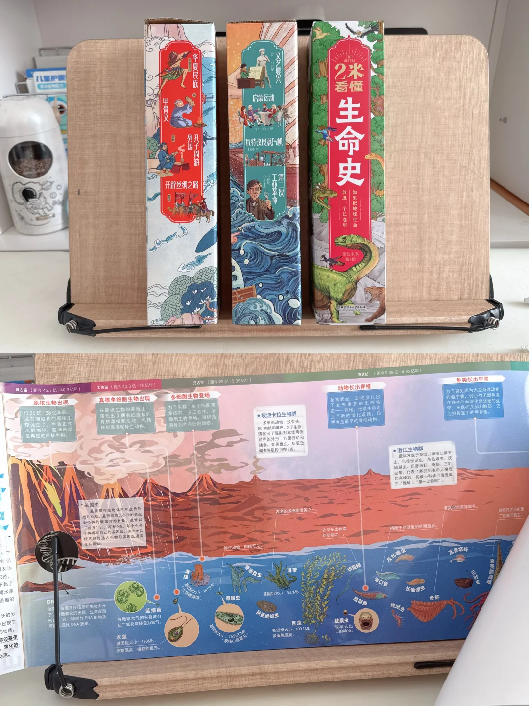 一年级看了185本书，他说心头好书