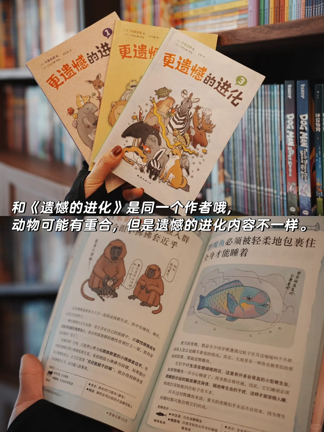 总结一年级小学生最爱看的书 | 合集
