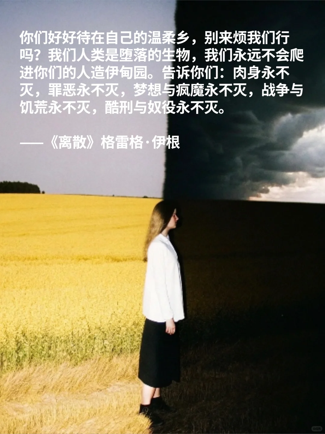 2025高分新书推荐📚好书趁早读（下）