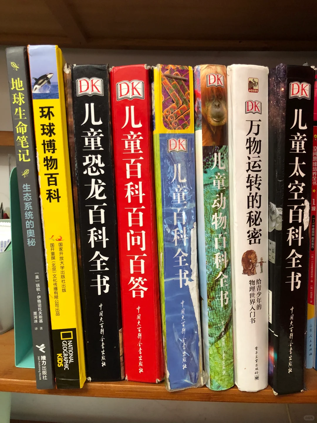 9岁娃读N遍的书单❗️书荒了求介绍好书📚📚
