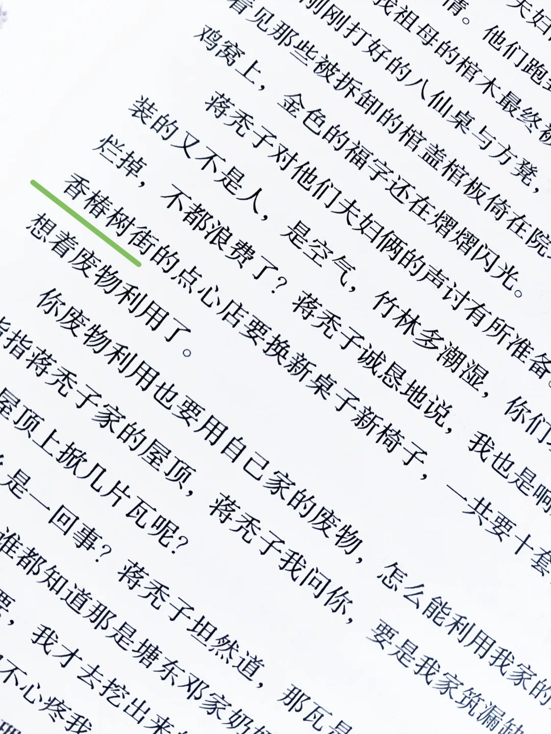 苏童，你真是个天才！文字的天才！