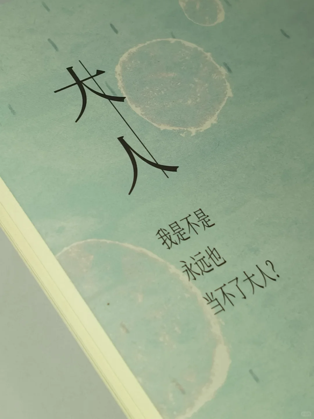 😭高铁上看哭了！这本书治愈我一整年的疲惫