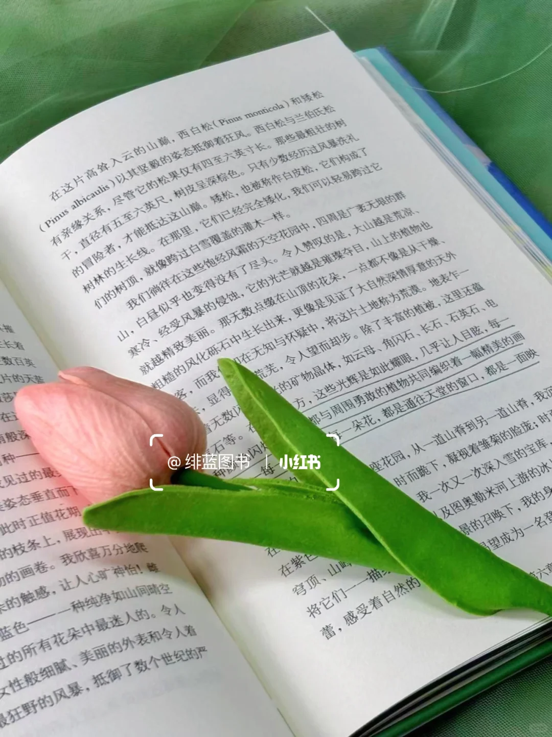 拜托🙏这本书真的很适合当礼物啊啊啊啊！