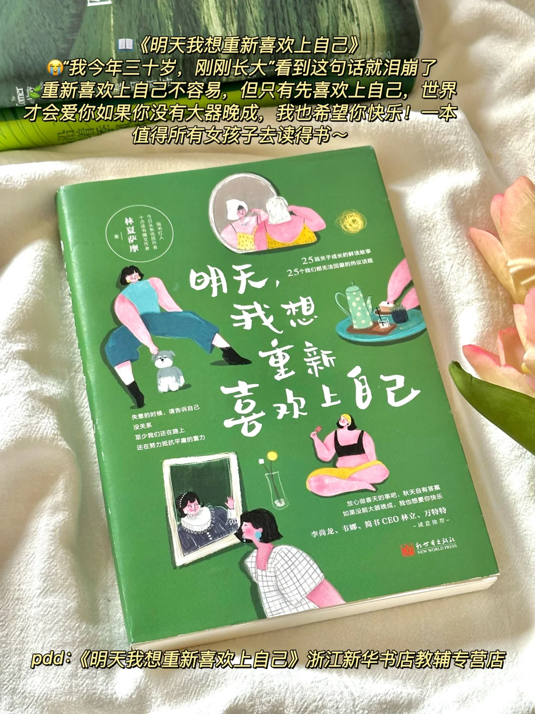 夏日清凉治愈书单🌿每一本我都好爱啊！！