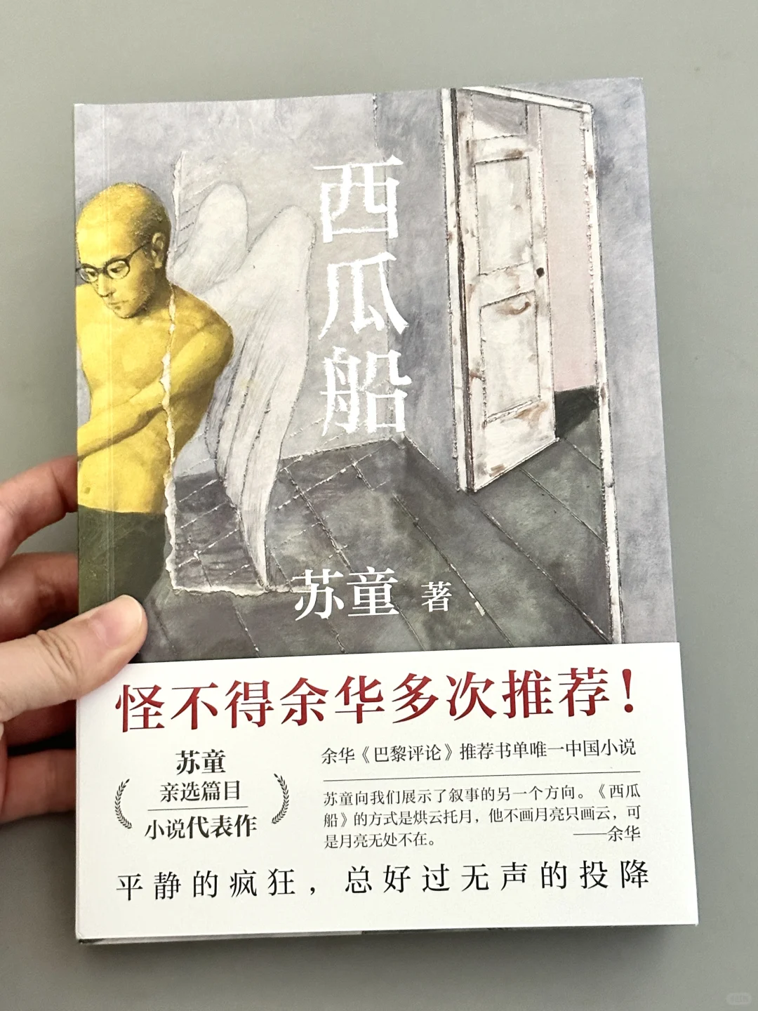 😭崩溃大哭！这本书让我的心碎成了一万片！！