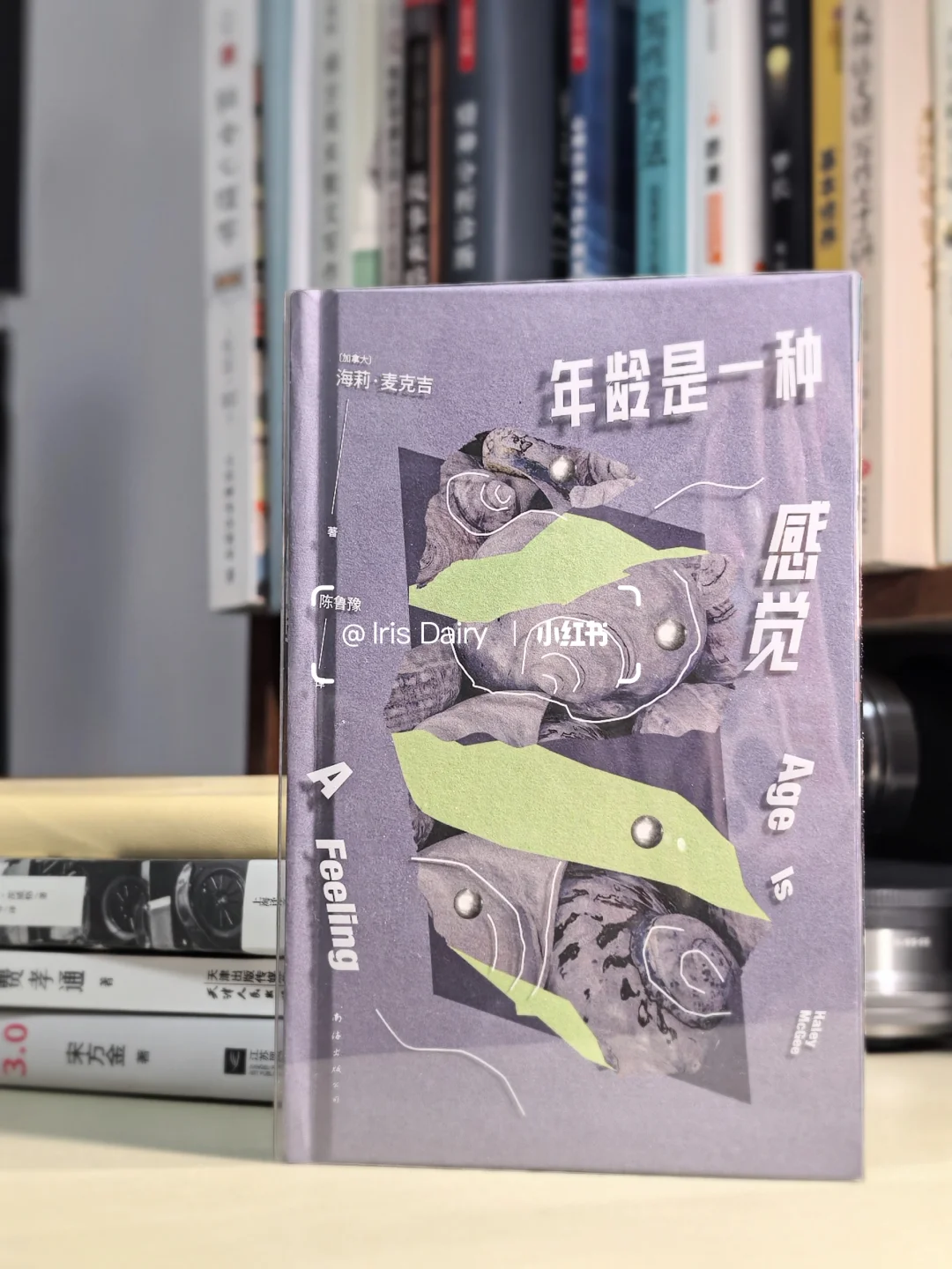 鲁豫：“别祝我一帆风顺，祝我乘风破浪。”