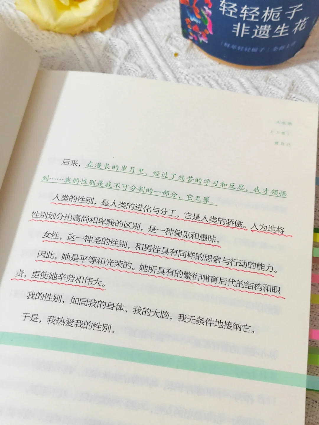 我宣布：这是我2025看过蕞蕞蕞治愈的一本书