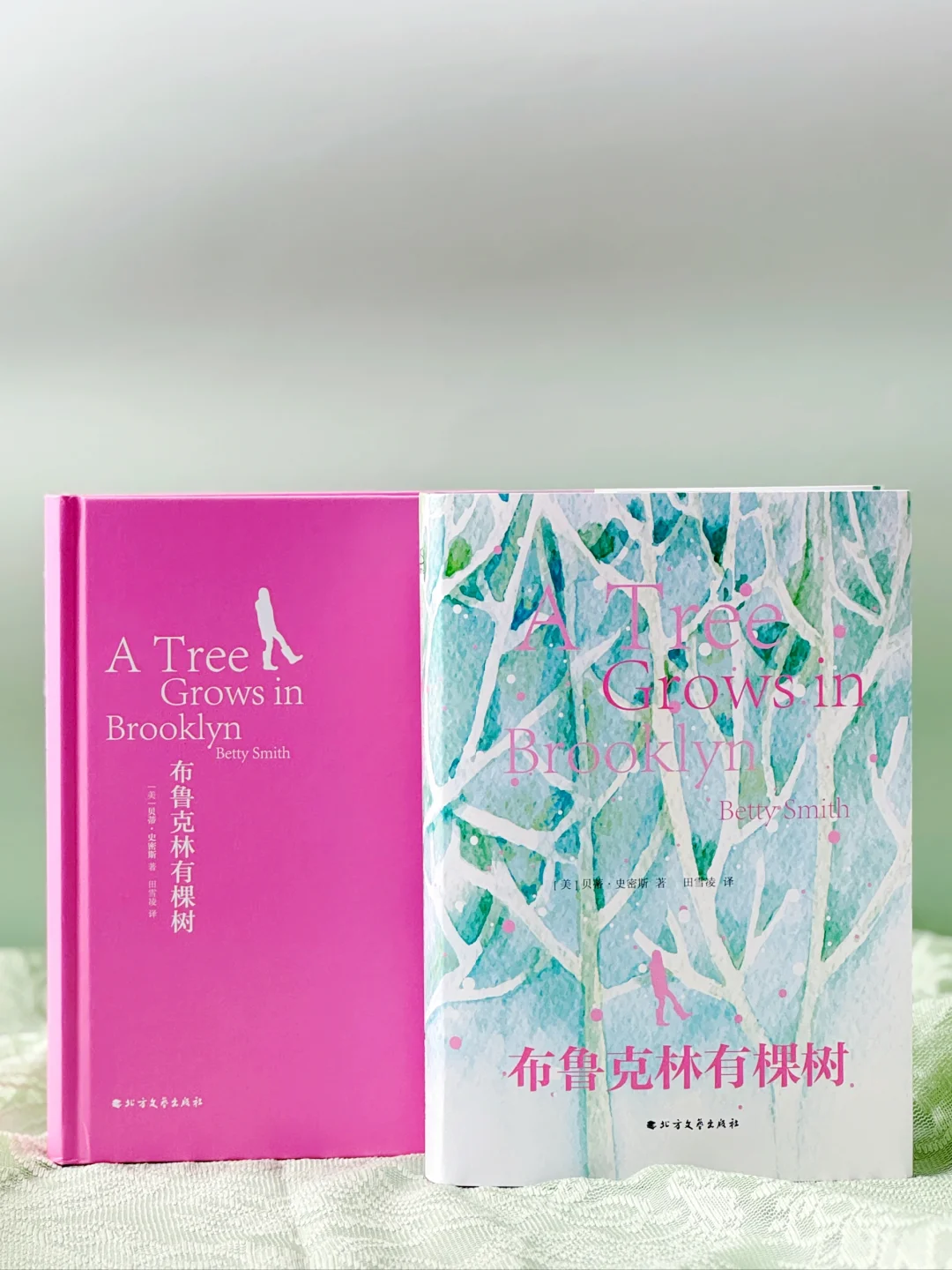 ✨ 新书上新！你的春天会永远留在书页里