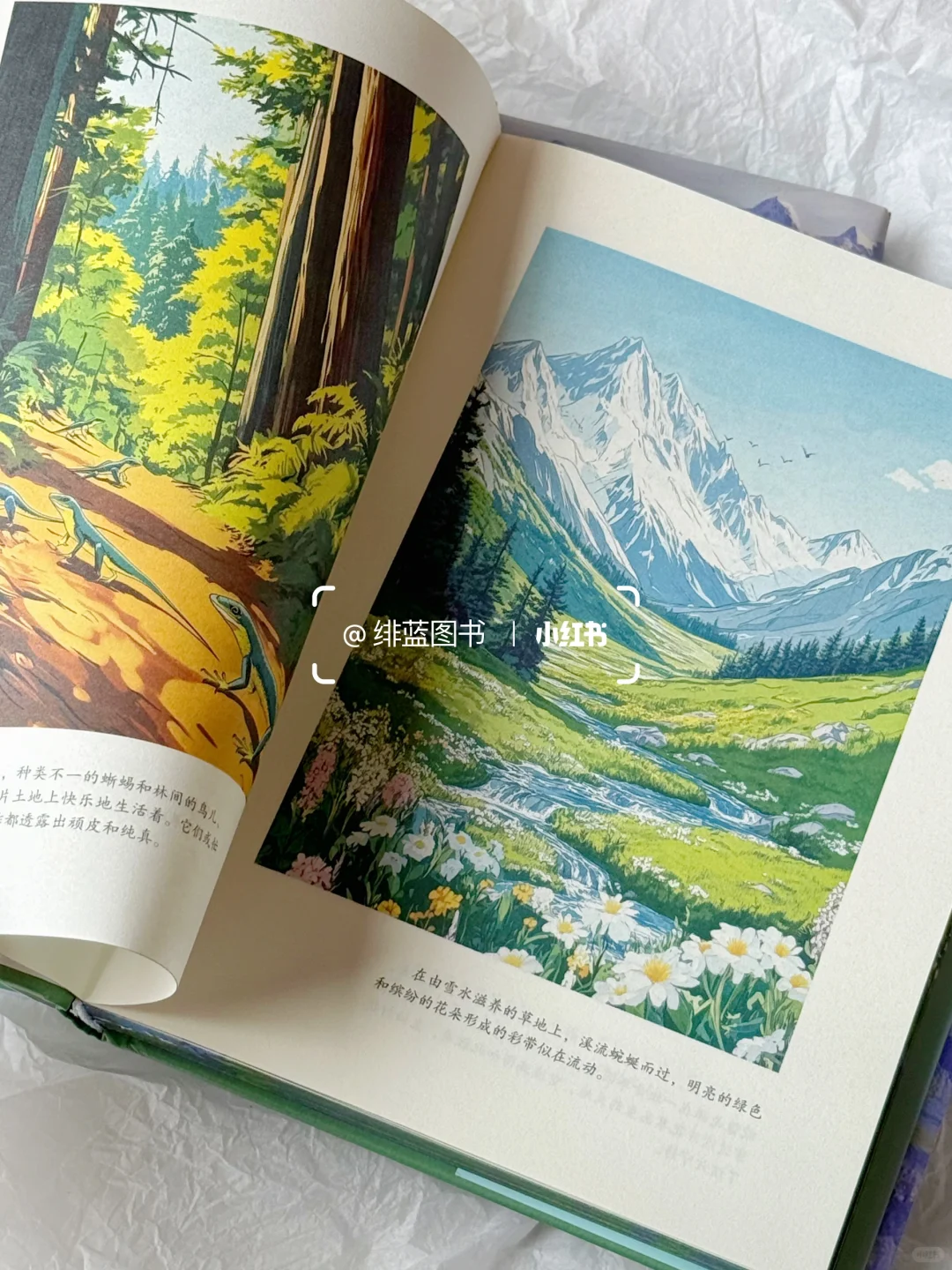 拜托🙏这本书真的很适合当礼物啊啊啊啊！