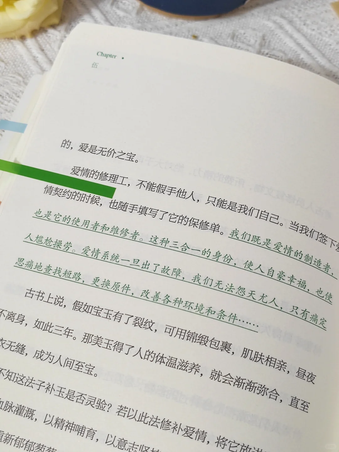 我宣布：这是我2025看过蕞蕞蕞治愈的一本书