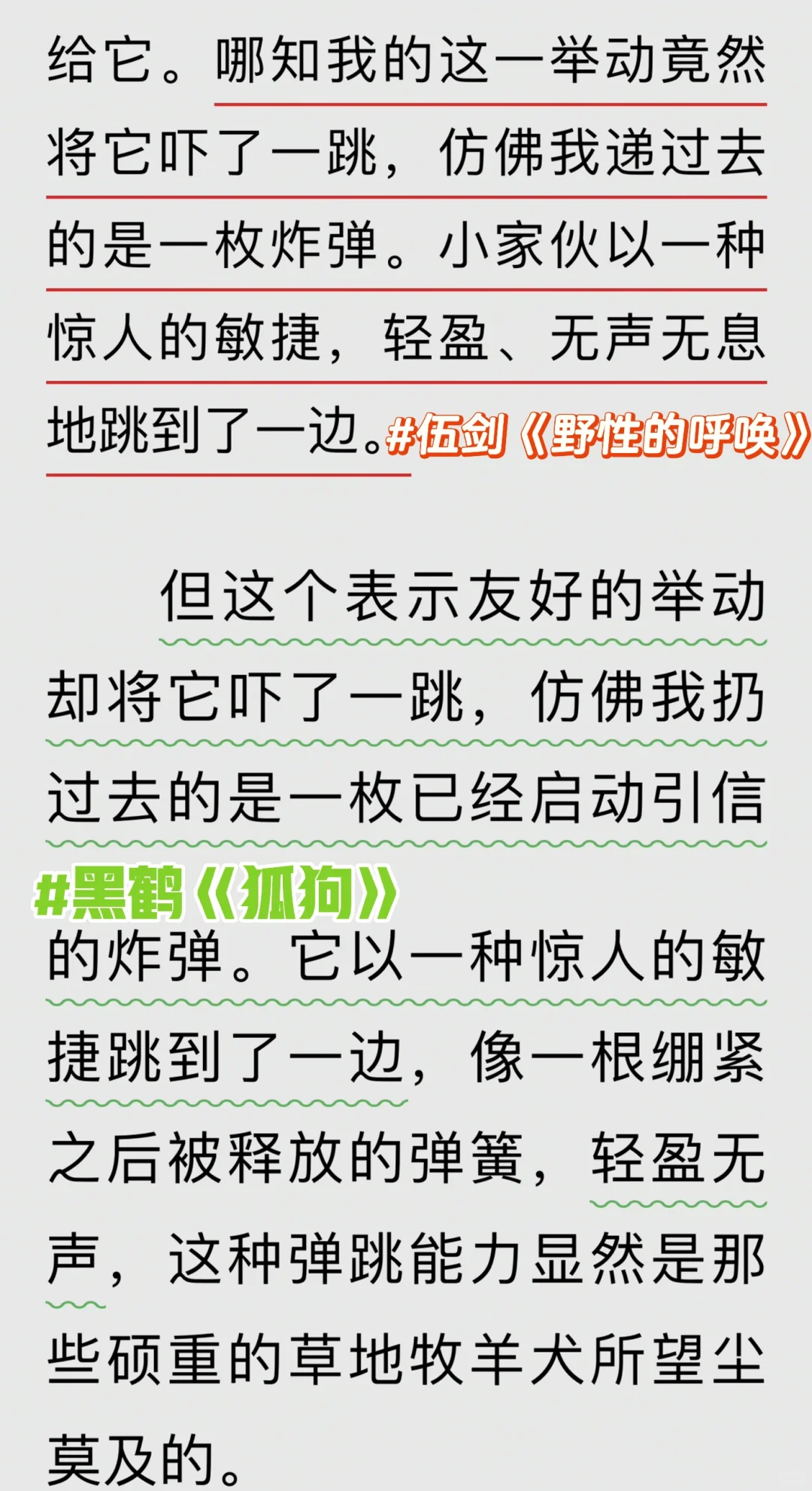 伍剑获冰心奖的《野性的呼唤》厉害了❗️👀