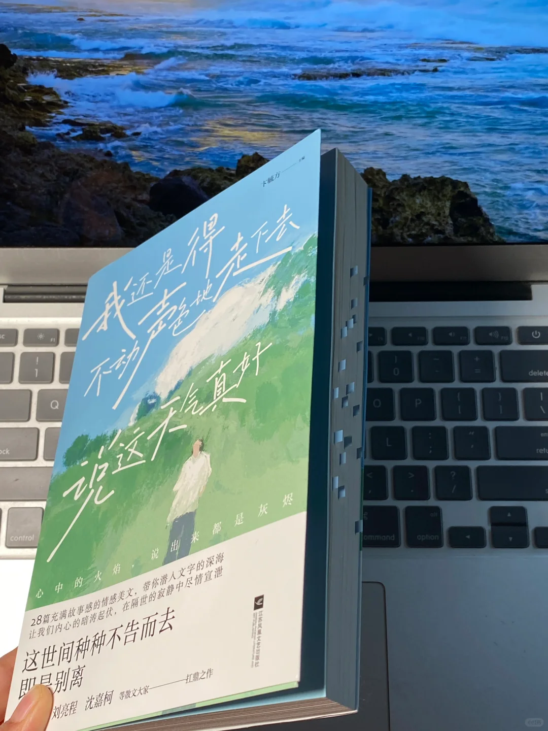 读哭了！文笔好绝，这本书每一页都是催泪弹