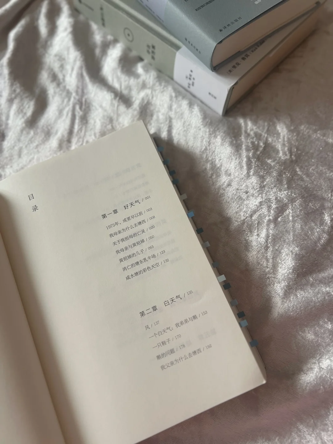 ◻️好天气：这是温情，也是敬意