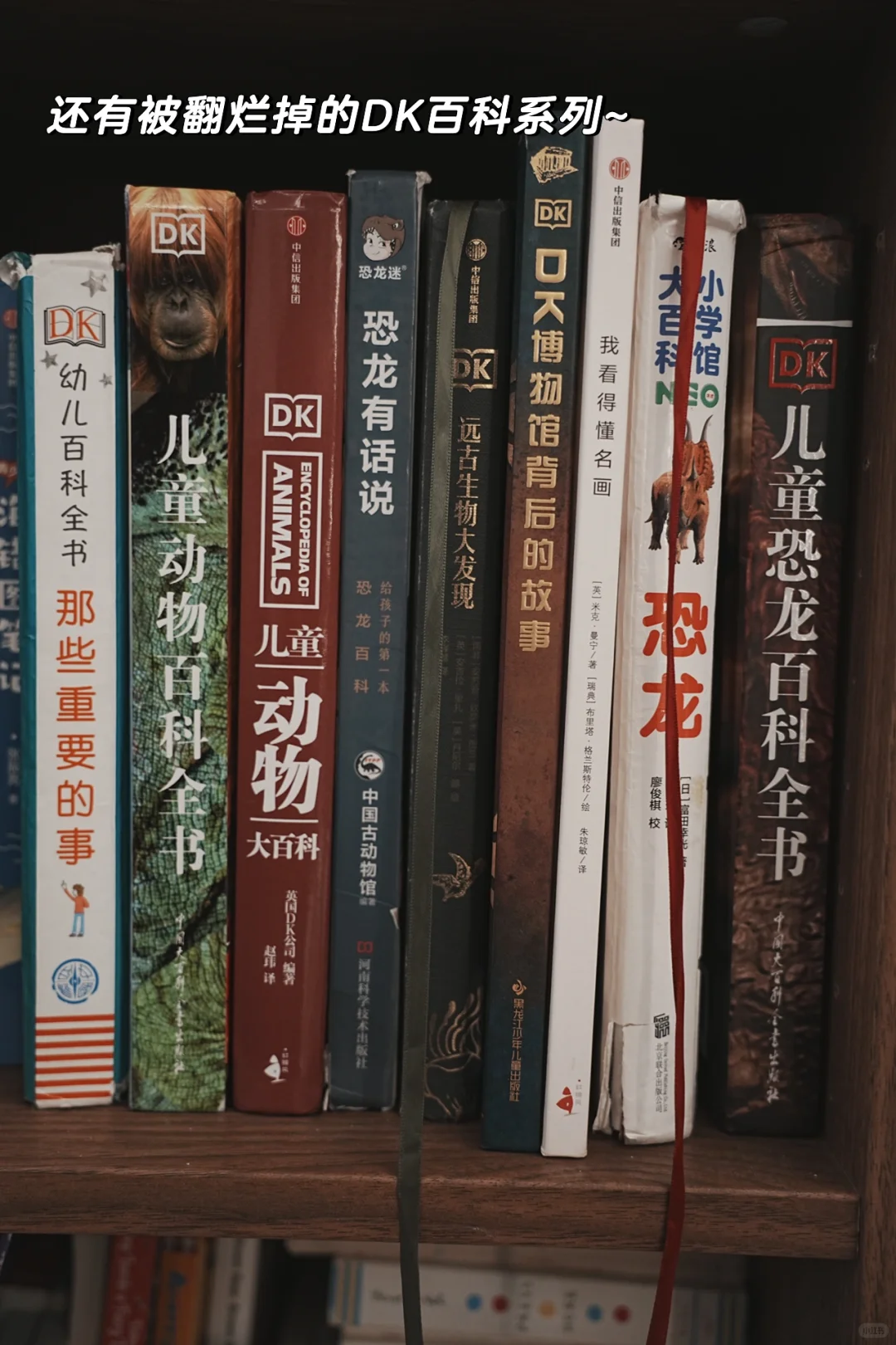 总结一年级小学生最爱看的书 | 合集