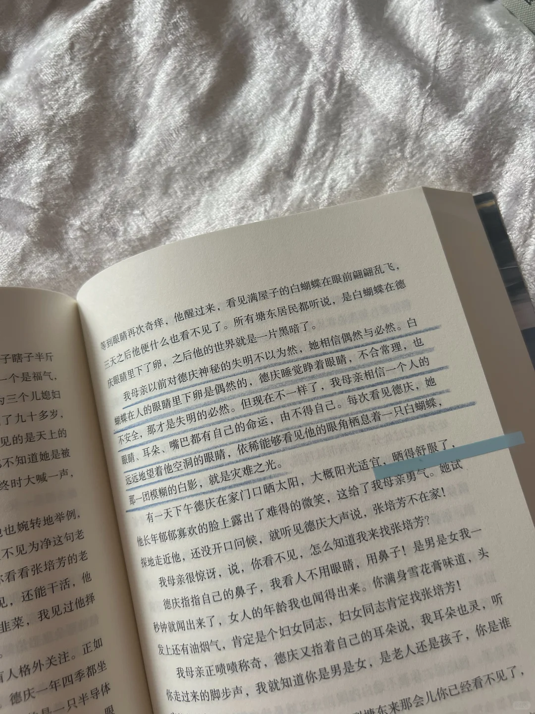 ◻️好天气：这是温情，也是敬意