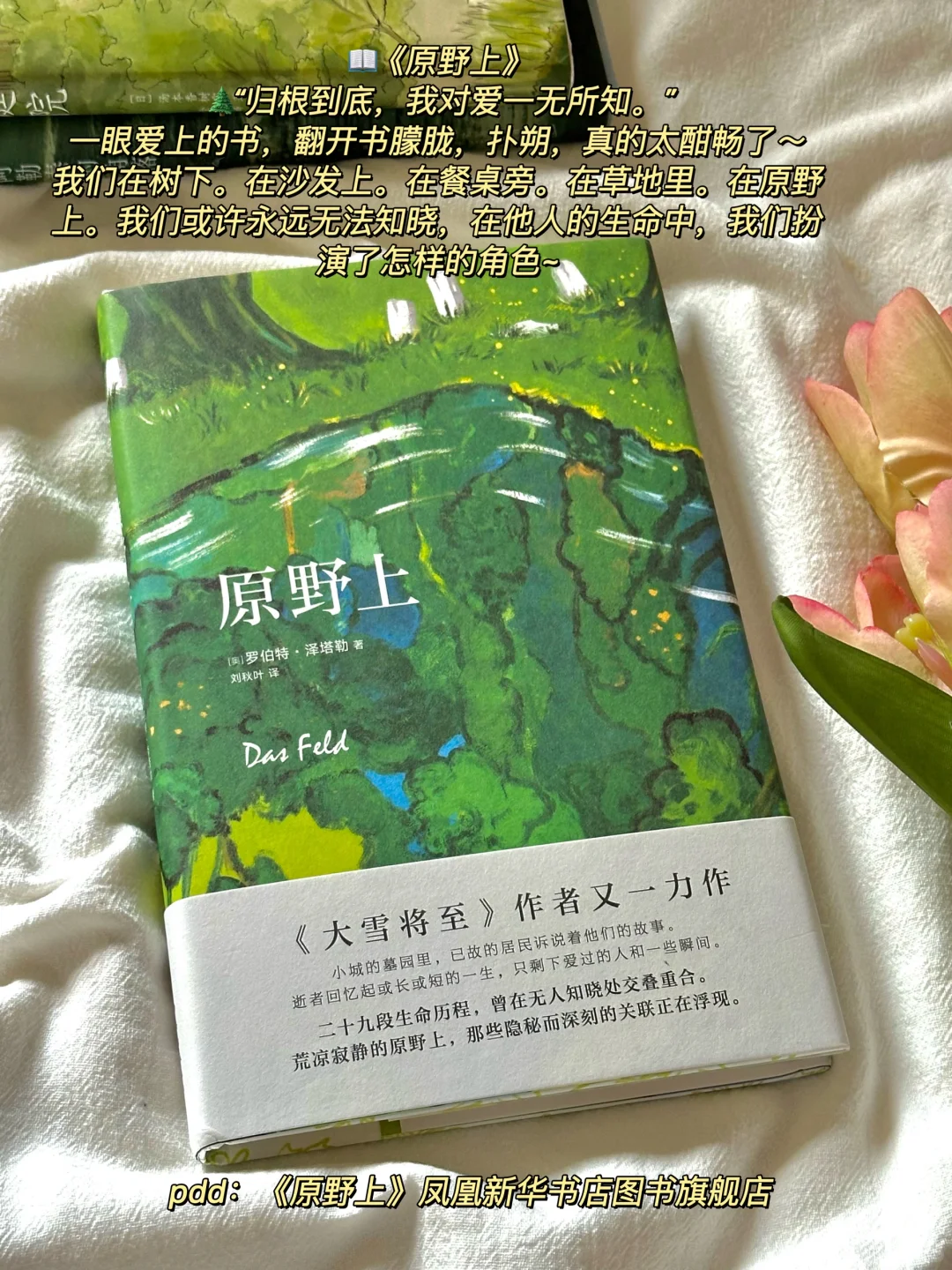 夏日清凉治愈书单🌿每一本我都好爱啊！！