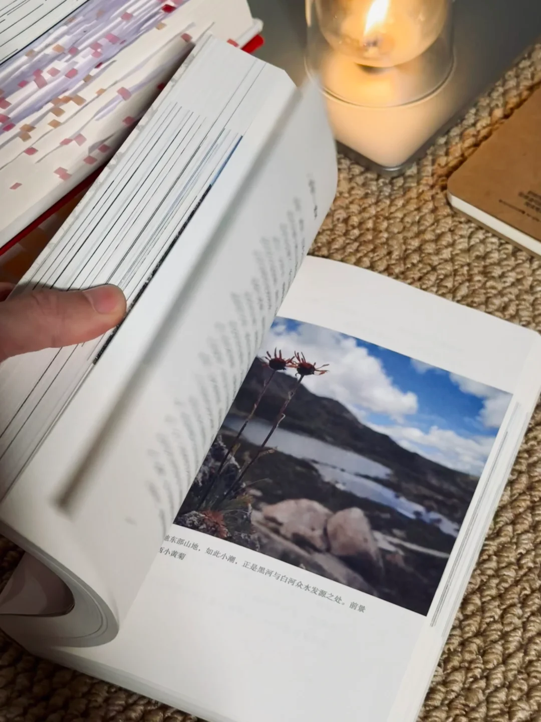 挖到宝📚他的文笔潇洒冷冽，恨不得全文背诵